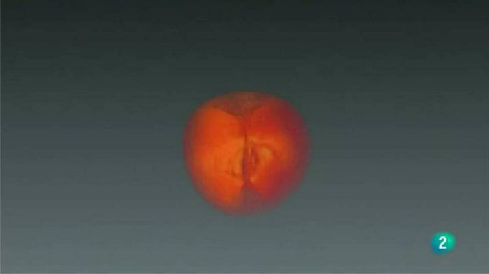 Agrosfera - Alimentos 3D