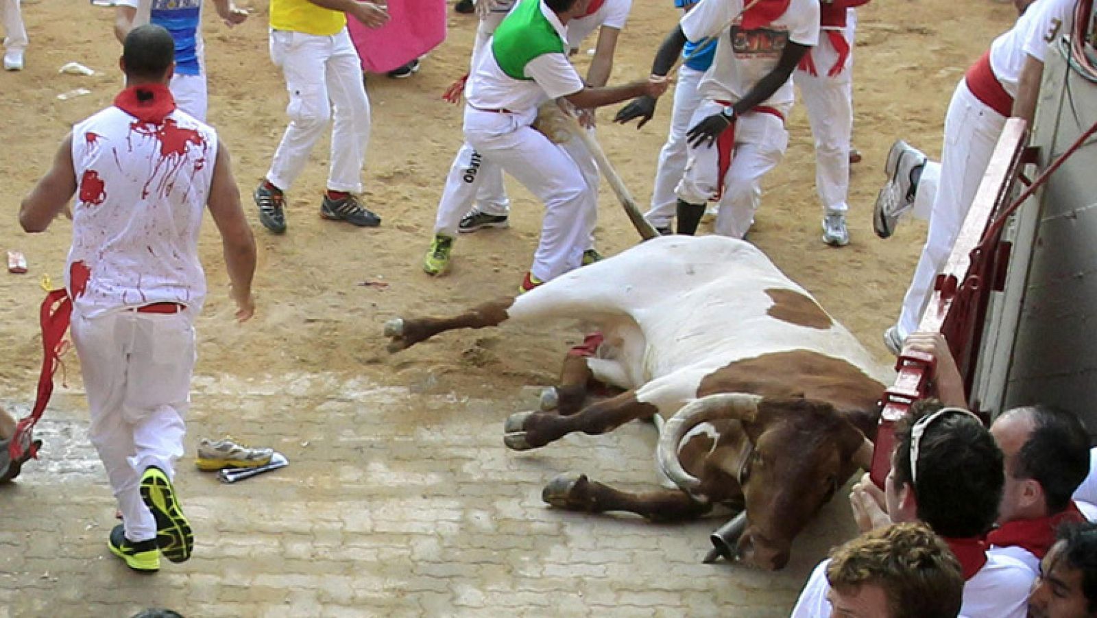 Muere un cabestro tras recibir un fuerte golpe en la plaza en el tercer encierro de San Fermín 2013