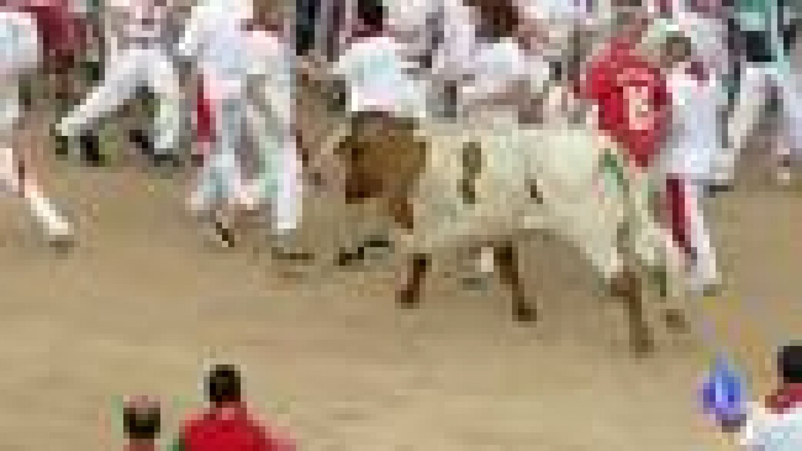 Muere un cabestro tras recibir un fuerte golpe en la plaza en el tercer encierro de San Fermín 2013