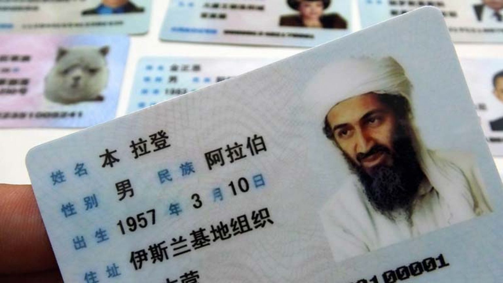 Telediario 1: Investigación muerte Bin Laden | RTVE Play