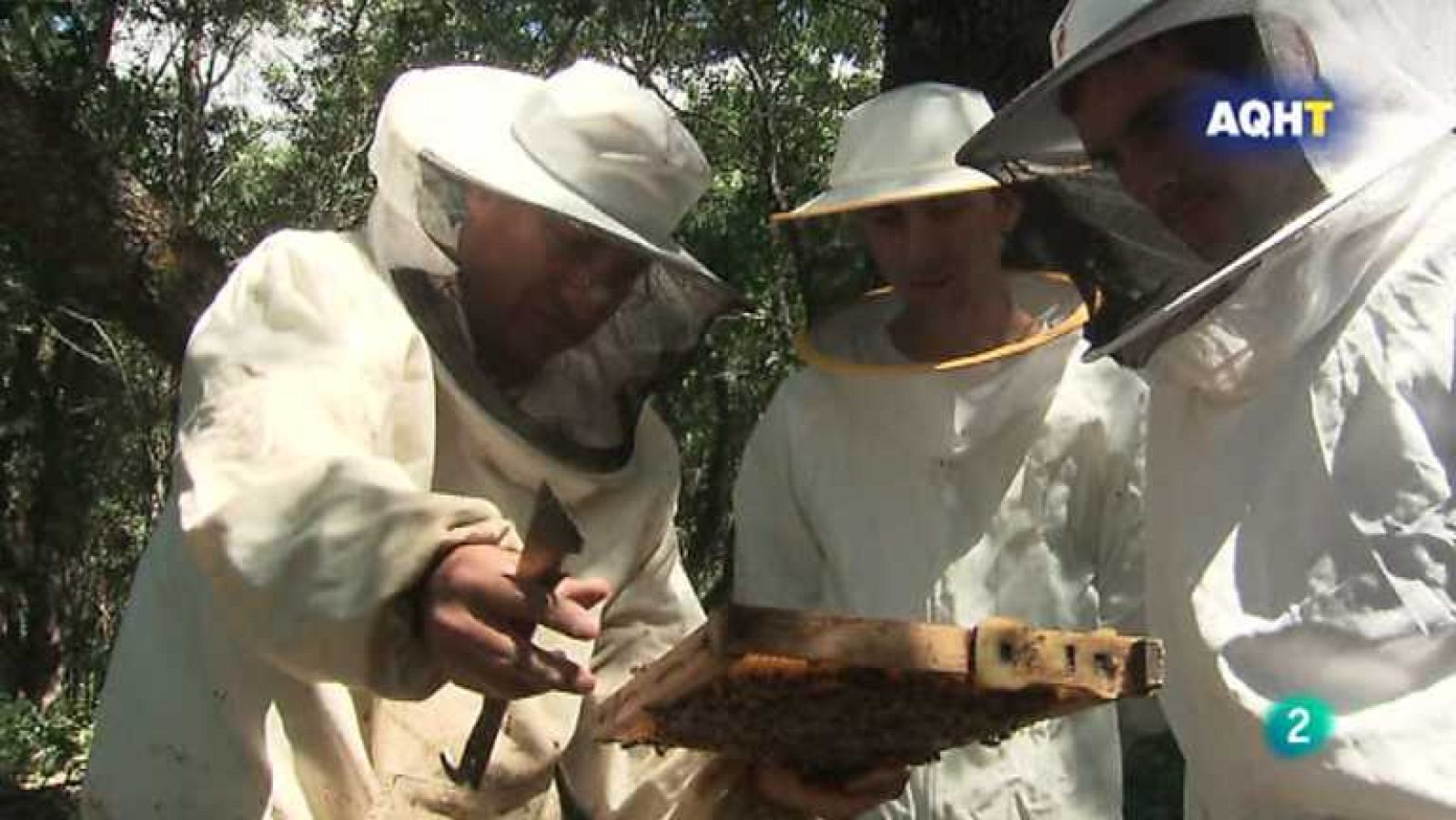 Aquí hay trabajo - 10/07/13 - Ver ahora