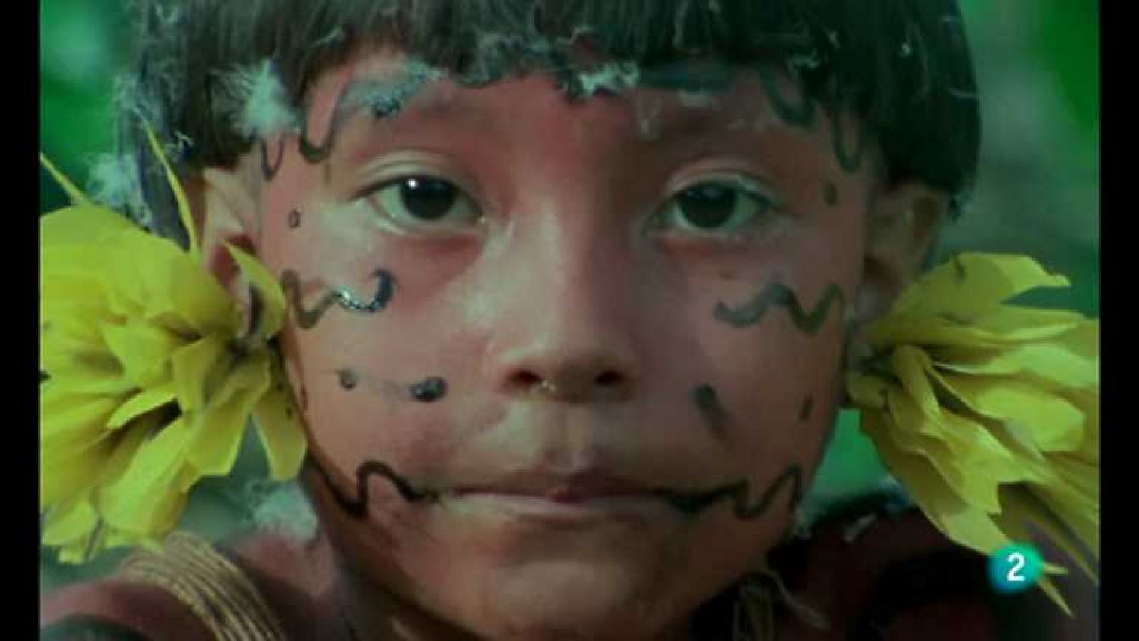 Otros pueblos - Yanomamis