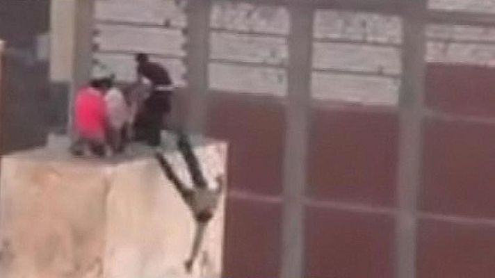 Telediario 1 - Imágenes de violencia en Egipto