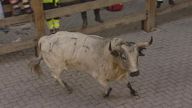 Un toro descolgado protagoniza el quinto encierro de San Fermín 2013 de los Torrestrella
