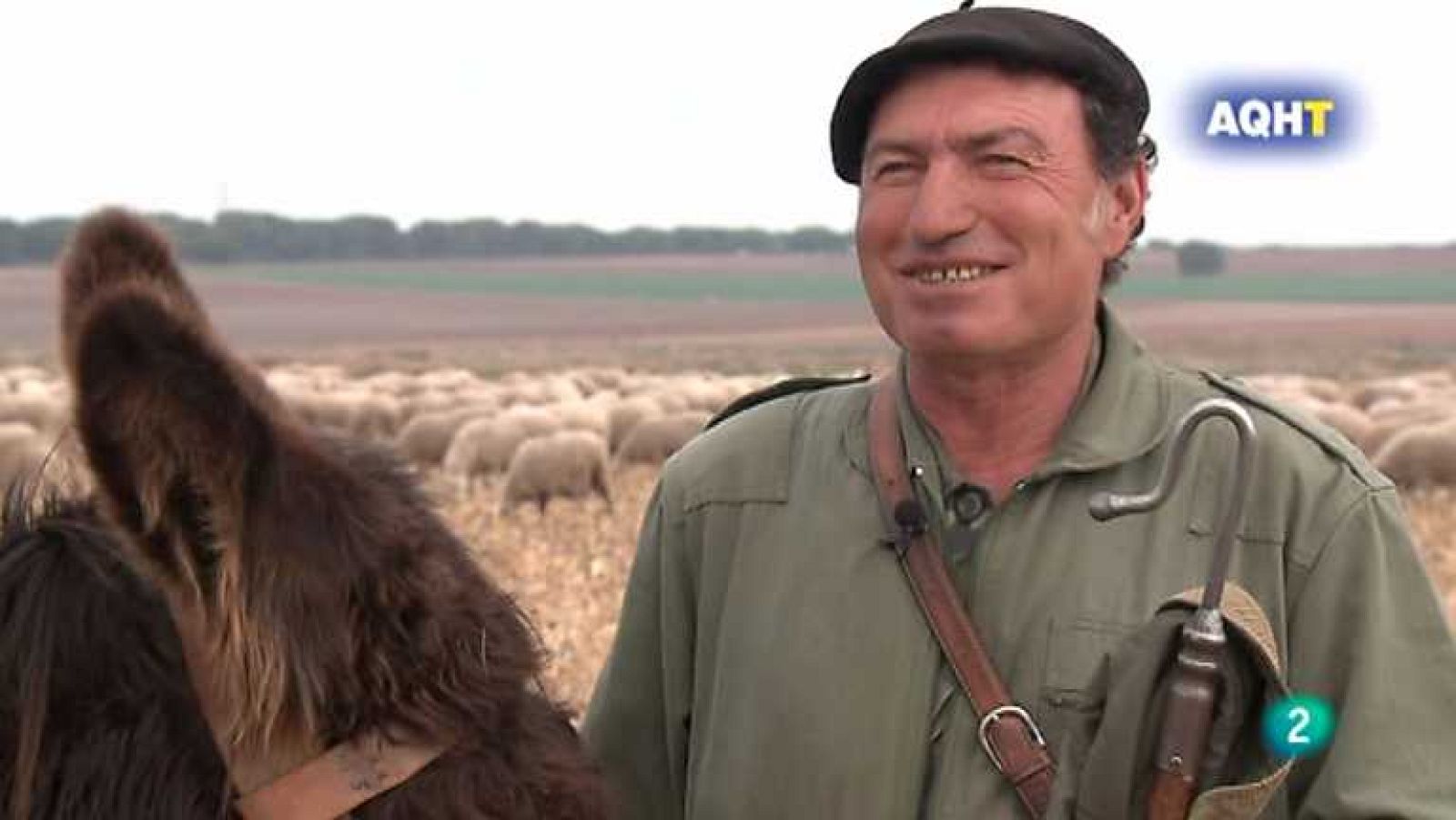 Aquí hay trabajo - 11/07/13 - Ver ahora