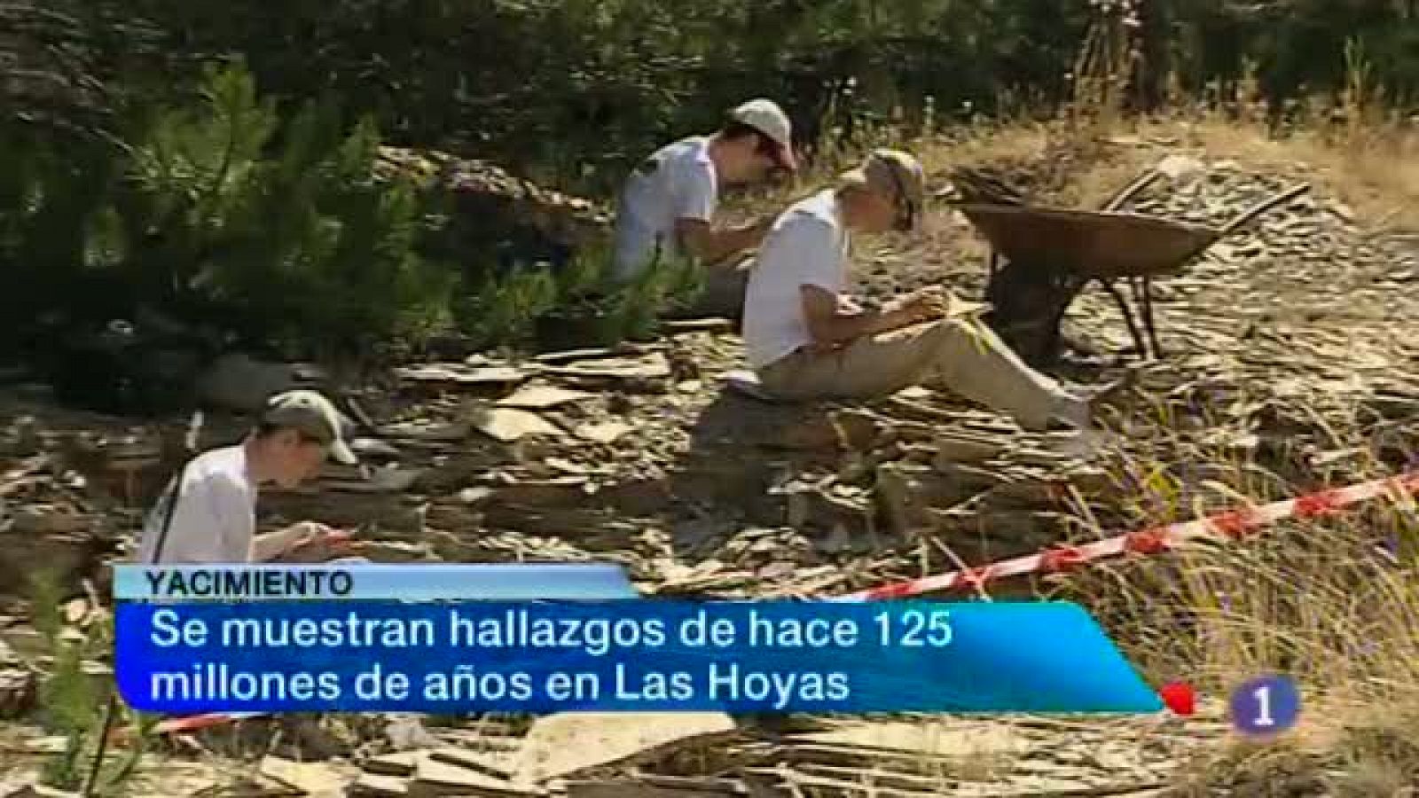 Noticias de Castilla-La Mancha: Noticias de Castilla-La Mancha(11/07/2013) | RTVE Play