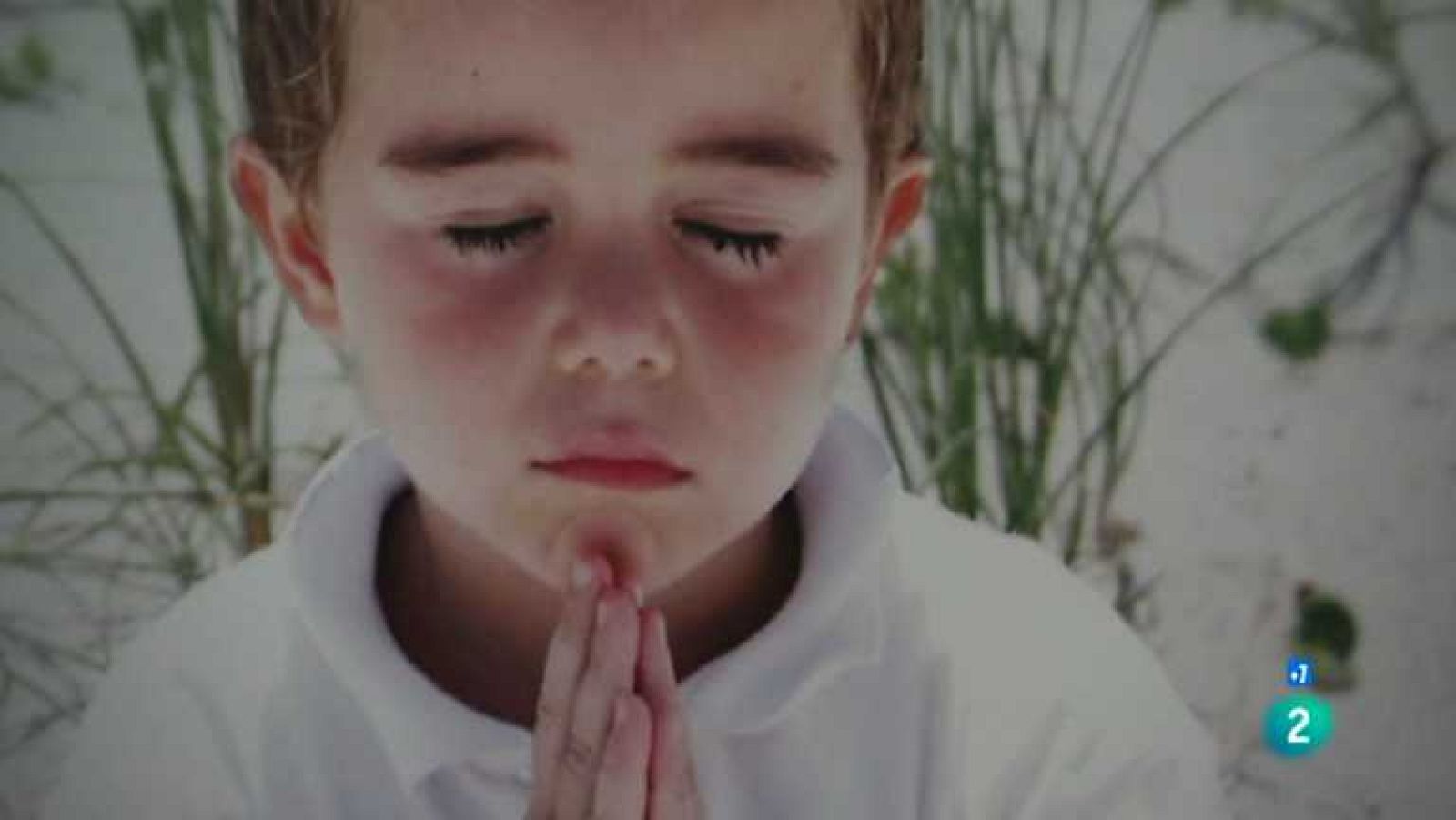 Los niños de la pasarela - ver ahora