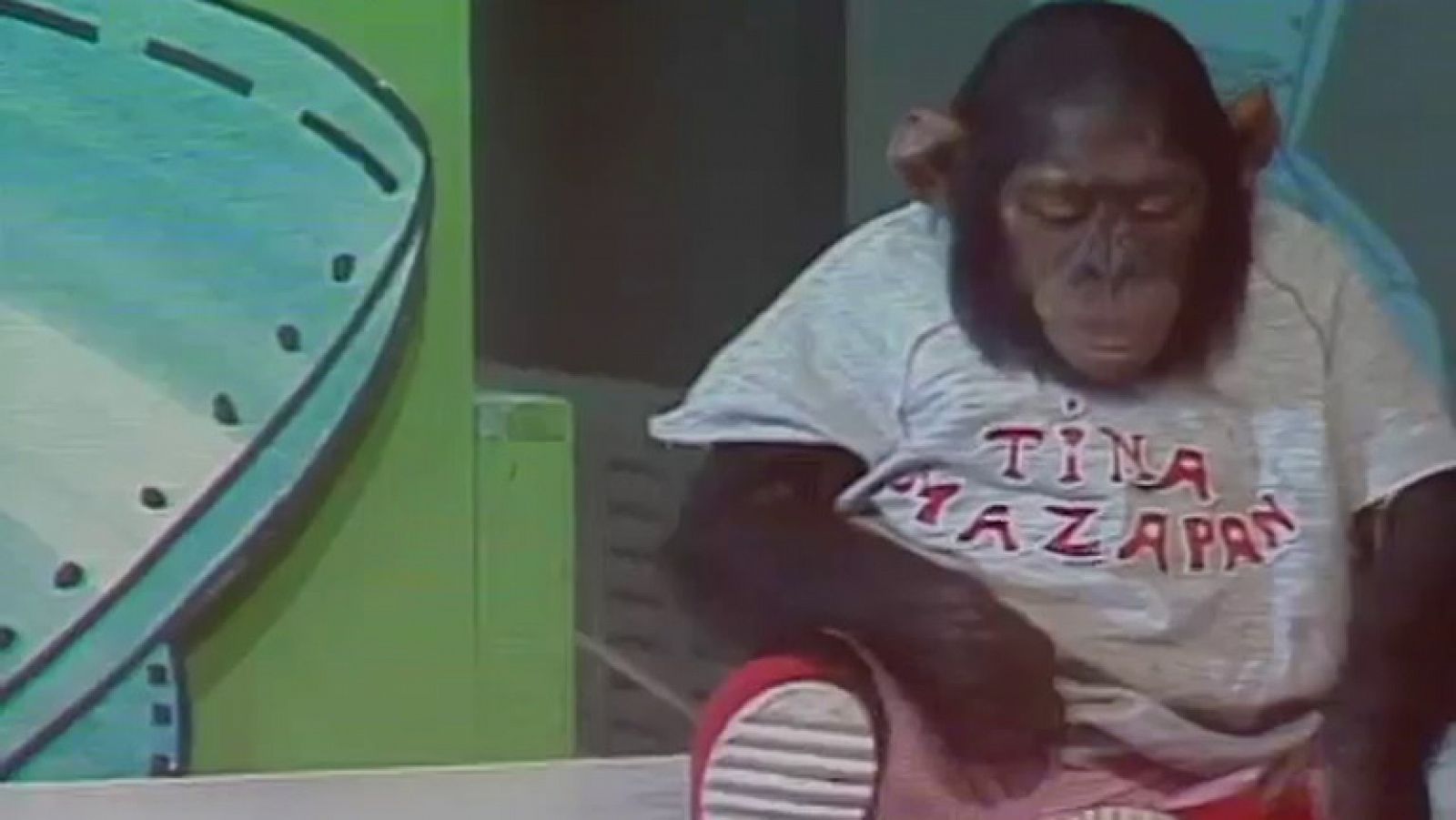 Un 'Mazapán' de 1984