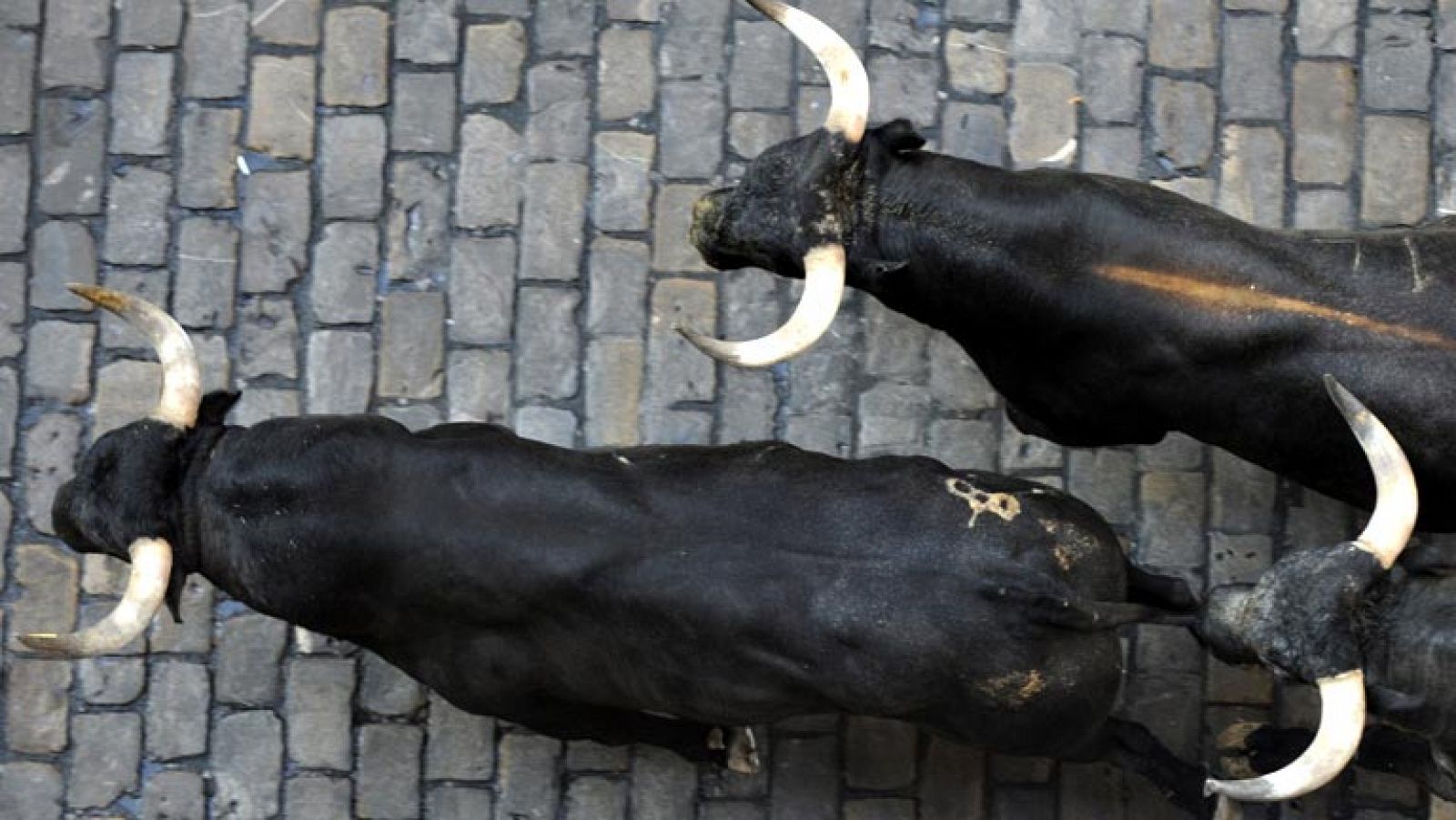 San Fermín 2023: Cinco toros en Estafeta | RTVE Play