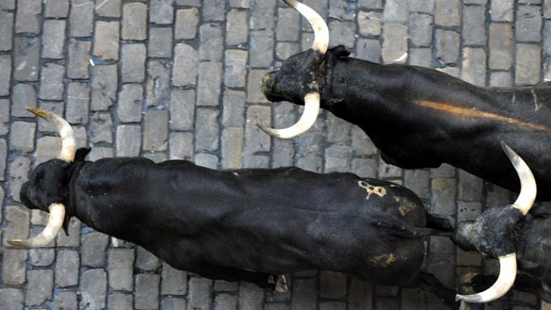 Cinco toros juntos enfilan la calle Estafeta