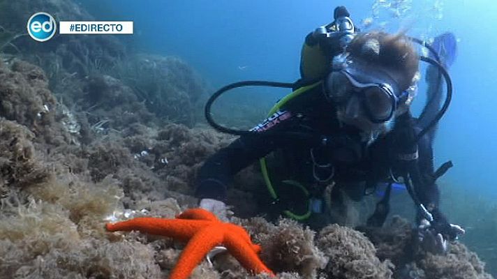 España Directo- España Directo se sumerge en las profundidades marinas