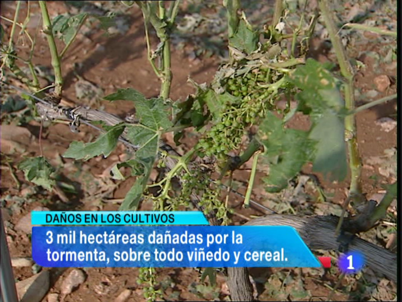 Telerioja en 2' - 18/07/13 | Ver