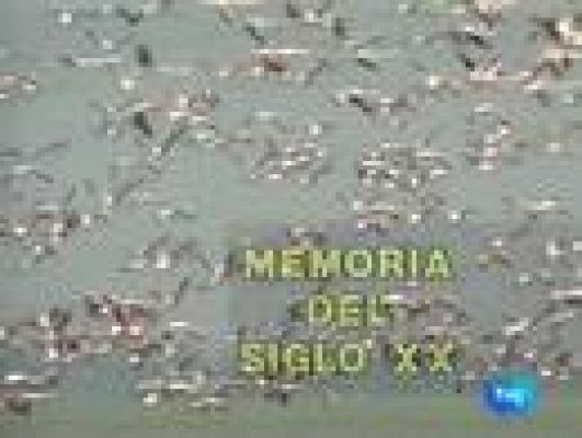 Medio Ambiente