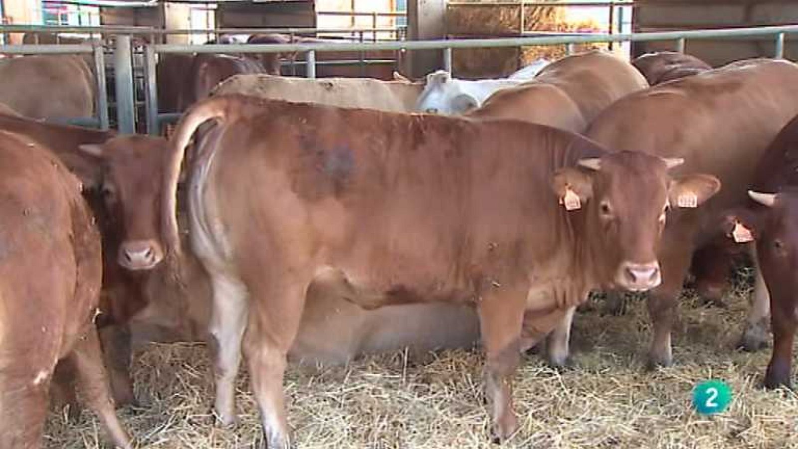 Agrosfera - 20/07/13 - Ver ahora