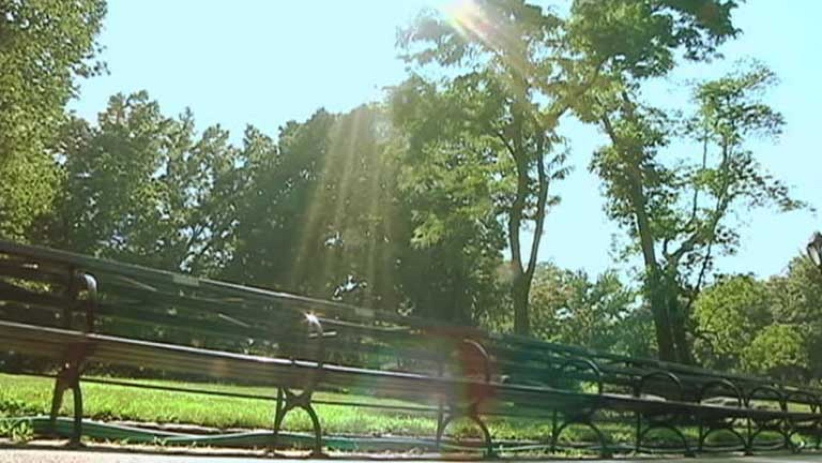 Los bancos de Central Park ayudan a la financiación del parque