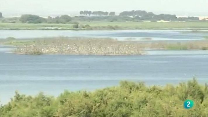 Agrosfera - Tablas de Daimiel