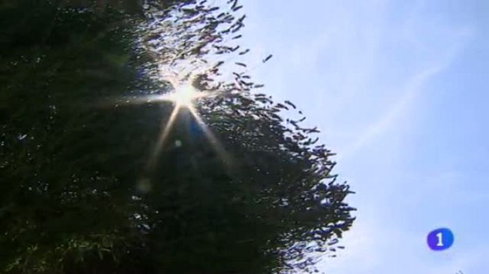 Telenavarra - Telenavarra 2 - 22/07/2013