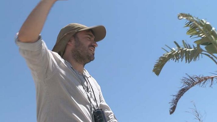 Telediario 1 - Premio Nacional Cinematografía