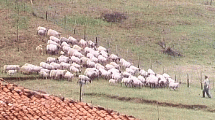 Vivienda y paisaje