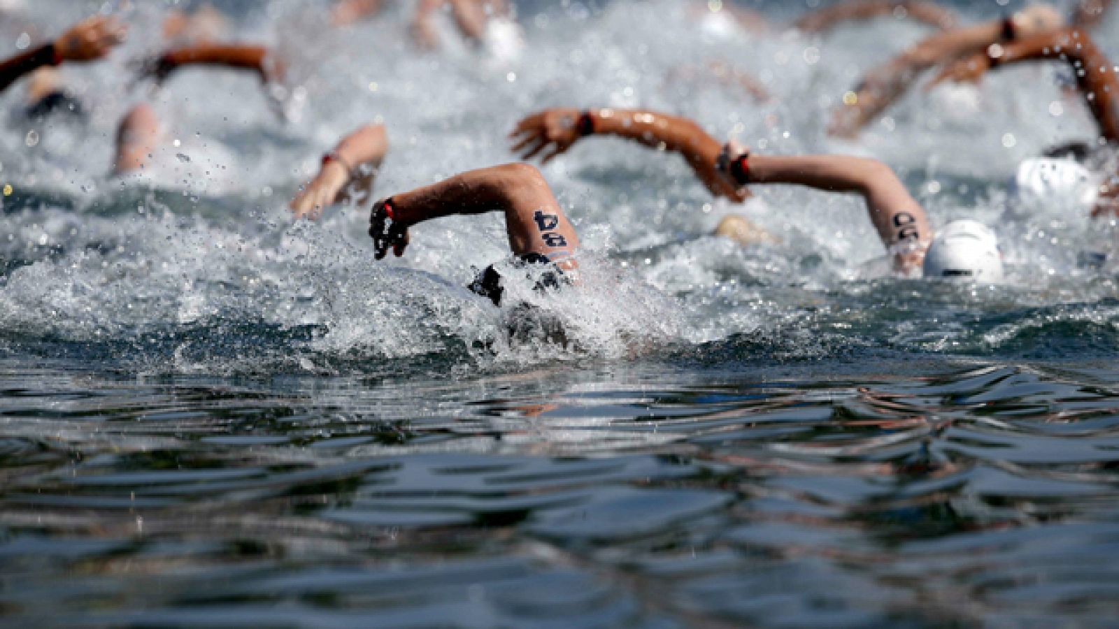 Sin programa: Aguas abiertas 10 Kms. femenino  | RTVE Play