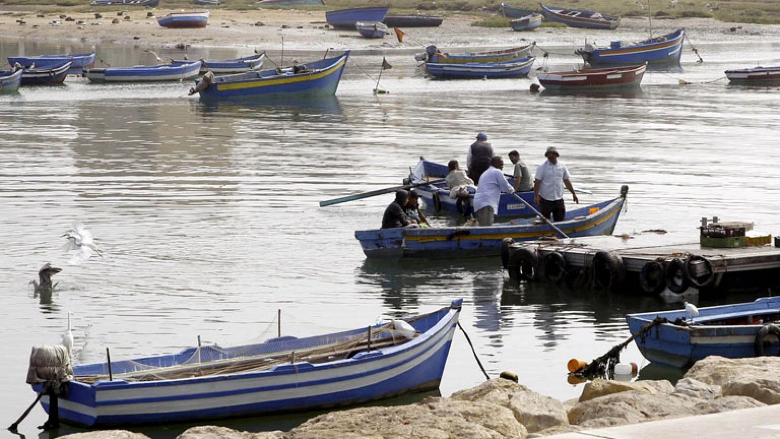 Telediario 1: La UE confía en firmar hoy el nuevo acuerdo de pesca con Marruecos | RTVE Play