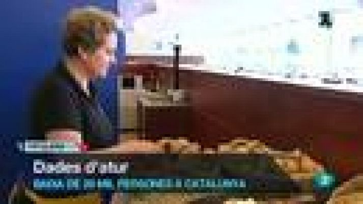 L'Informatiu - L'Informatiu vespre - 25/07/2013