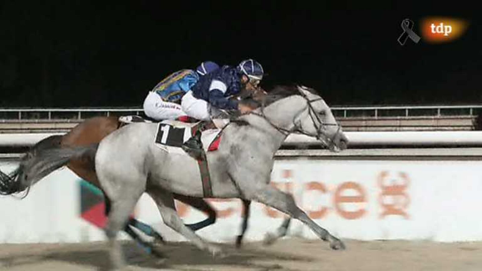 Turf - 25/07/13 - Ver ahora