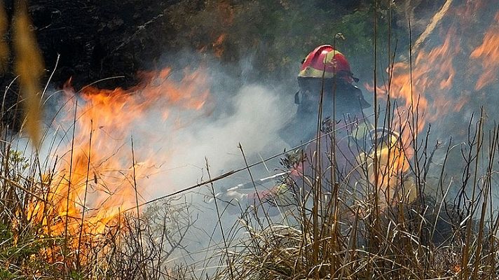 700 evacuados por el fuego de Andratx, todavía sin control