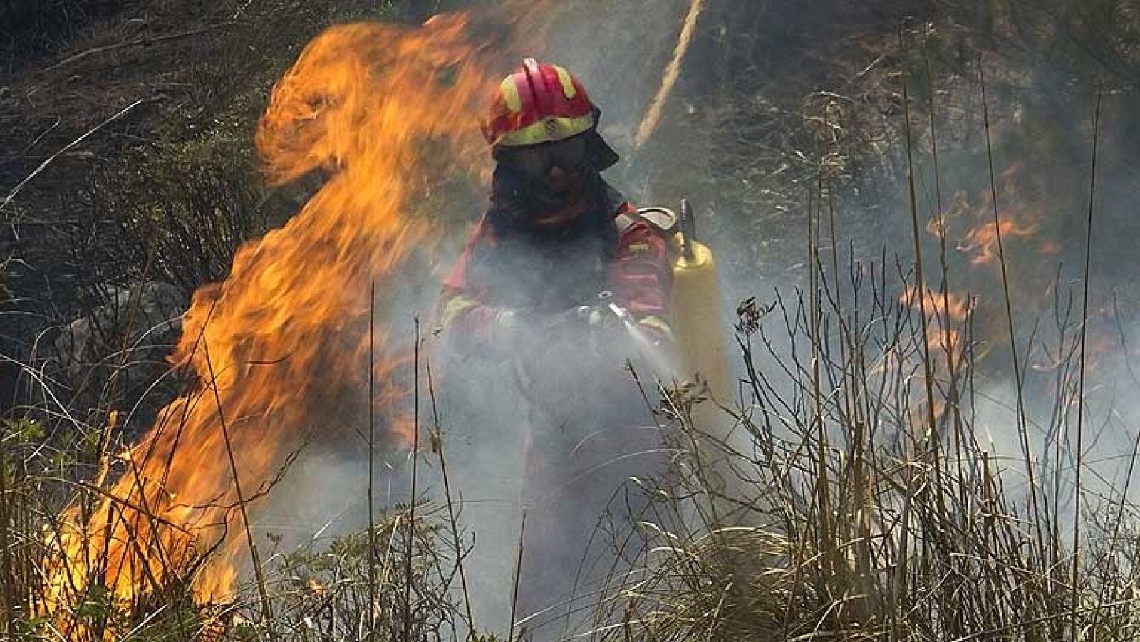 Un incendio en Mallorca ha afectado ya a 1.800 hectáreas.