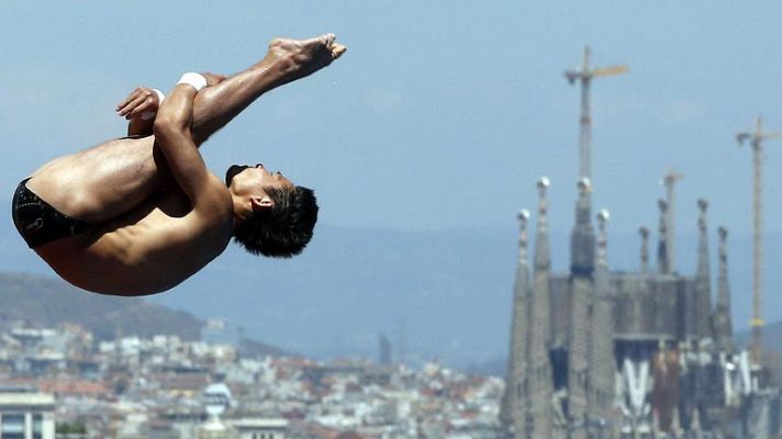 Plataforma 10m masculino. Final