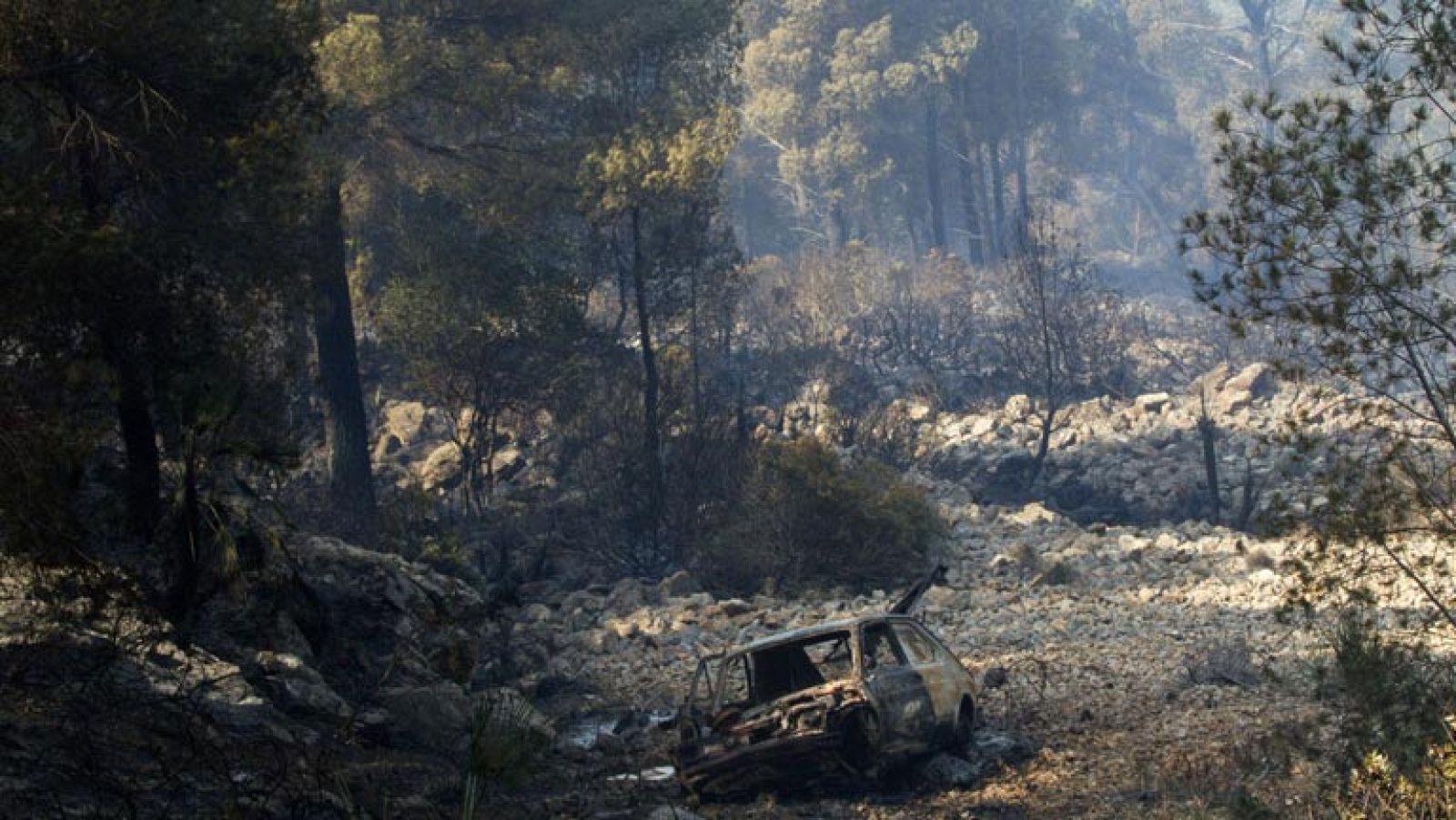 Regresan a sus casas los 250 residentes de Estellencs tras el incendio de la Sierra de Tramontana, en Mallorca