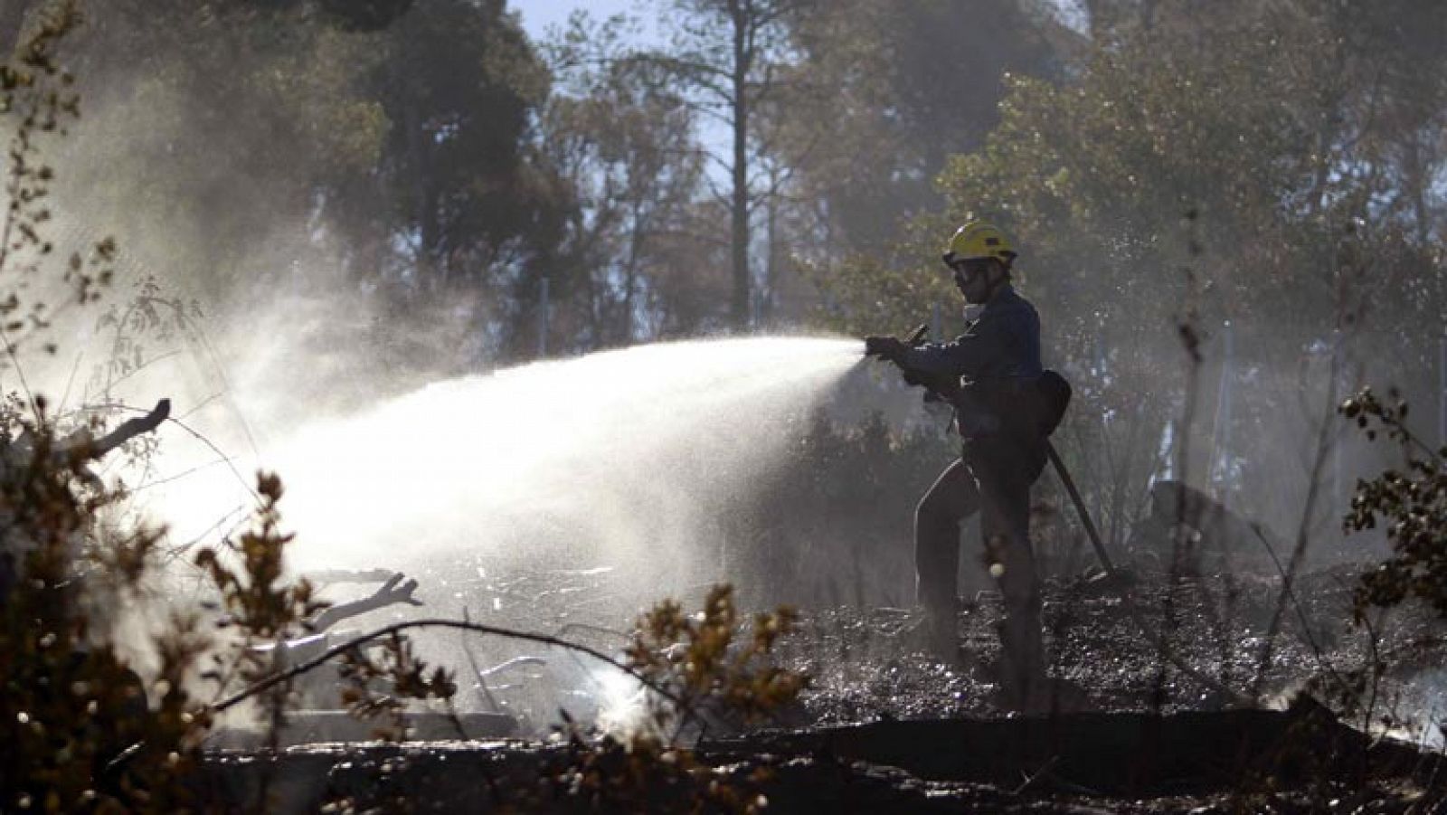 Los vecinos de Vallirana pueden volver a sus casas tras quedar estabilizado el incendio | Ver