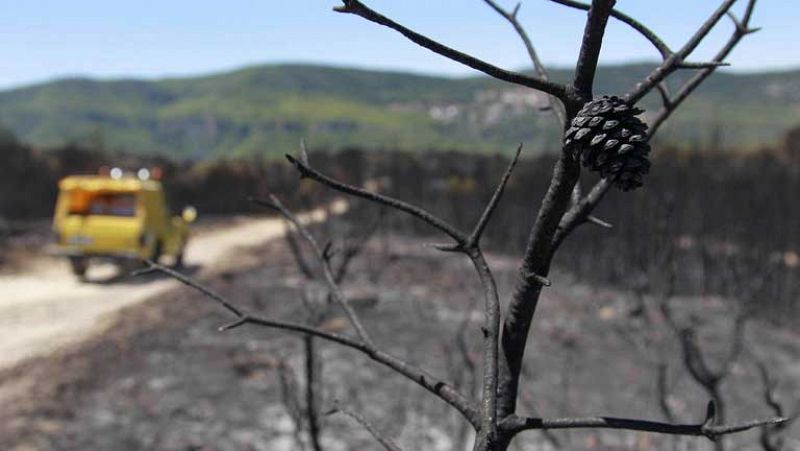 Controlado el incendio de Vallirana, Barcelona que ha quemado más de 80 hectáreas