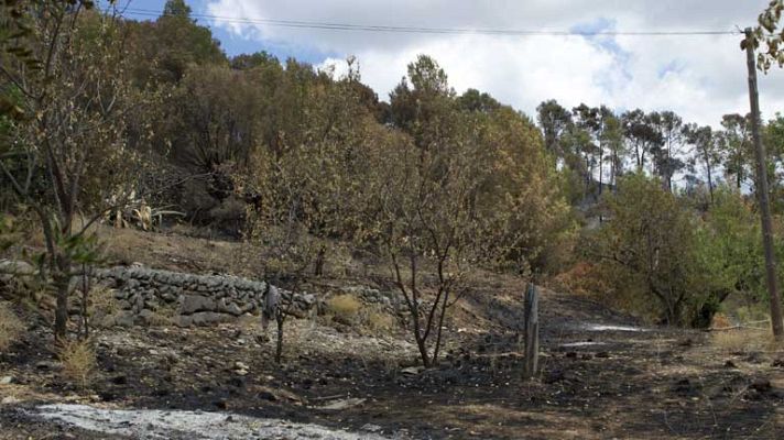 Telediario 1 - Incendio de Tramuntana