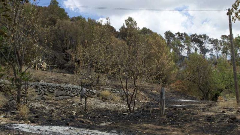 El incendio de Tramuntana podría quedar controlado en las próximas horas