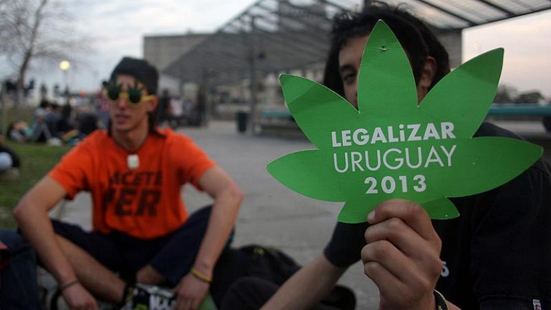 Uruguay se convertirá en el primer país que regula la producción y el comercio de marihuana
