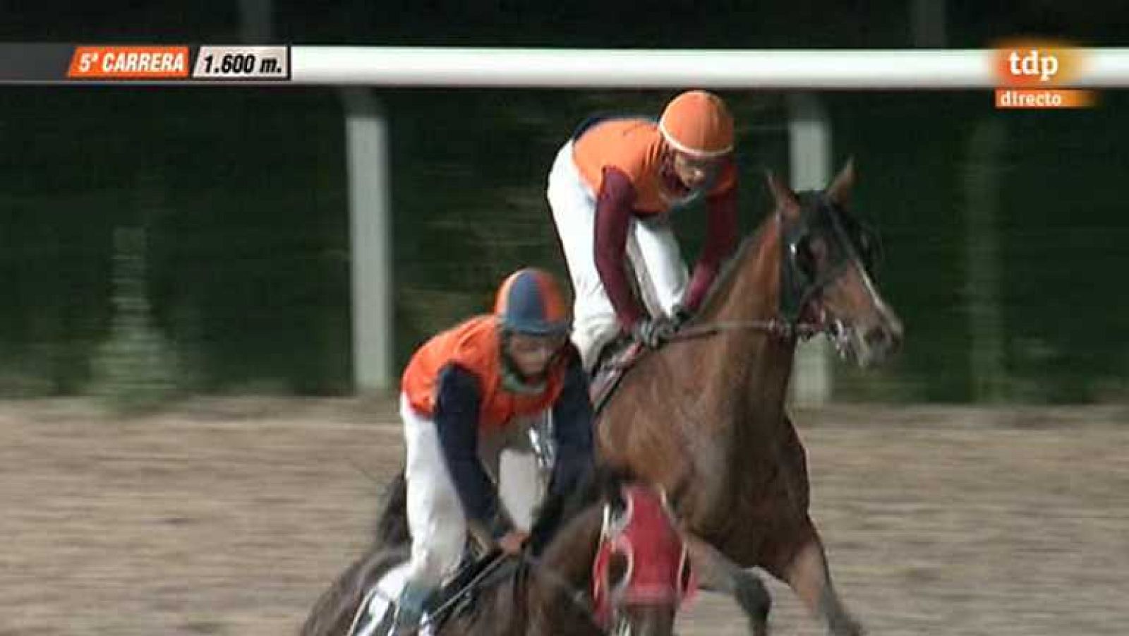 Turf - 01/08/13 - Ver ahora