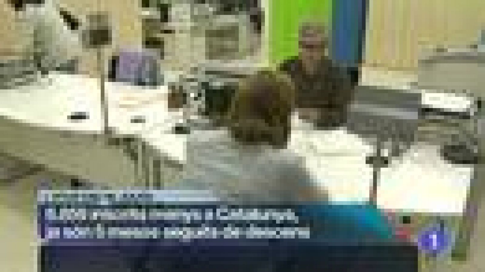 L'Informatiu: L'Informatiu en 3' - 02/08/13 | RTVE Play