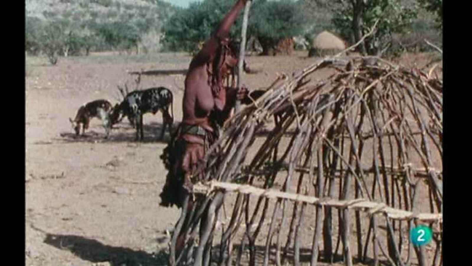 Los últimos indígenas: Los Himba, 1 | RTVE Play
