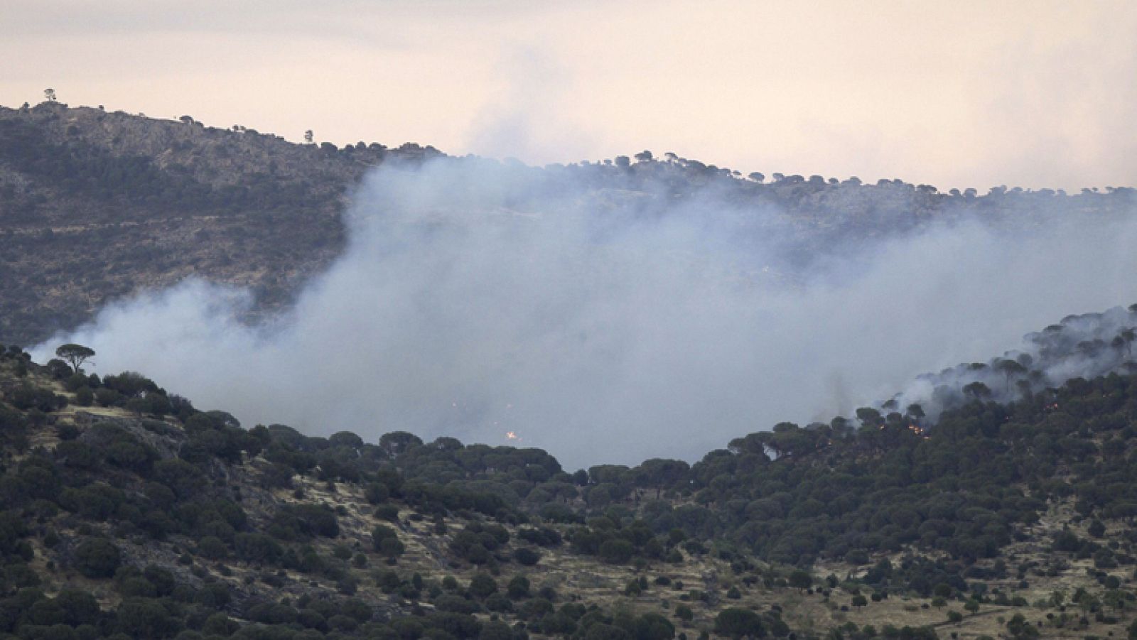 Noticias 24h: El incendio de Cebreros, en Ávila, sigue activo | RTVE Play