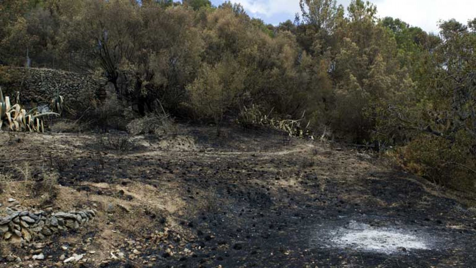 La Sierra de Tramuntana tardará 80 años en volver a recuperar su paisaje
