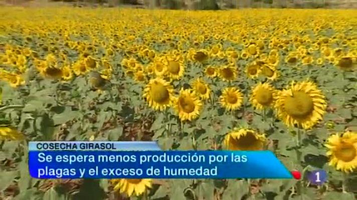 Noticias Castilla-La Mancha en 2' (05/08/2013)