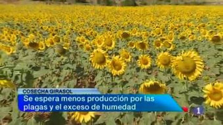 Noticias de Castilla-La Mancha (05/08/2013)
