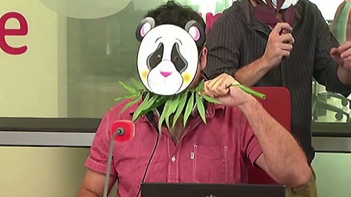 Con cara de oso panda (vídeo)