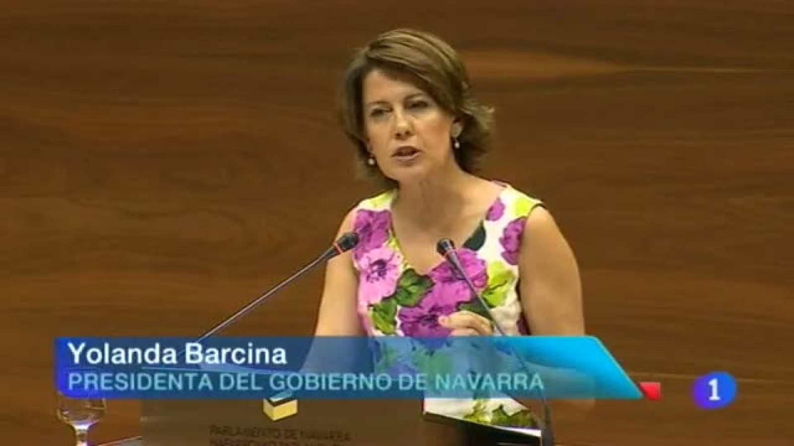 Telenavarra 2 - 06/08/2013 | Ver