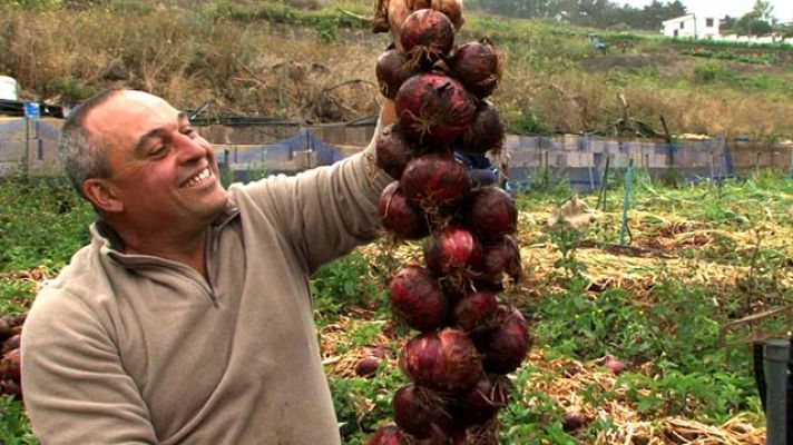 San Cristóbal de la Laguna