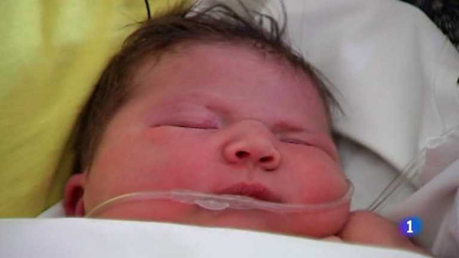 L'Informatiu - Comunitat Valenciana - 08/08/13 - Ver ahora