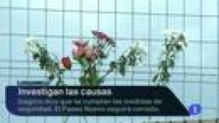 Telenorte - País Vasco - Telenorte País Vasco - 08/08/13