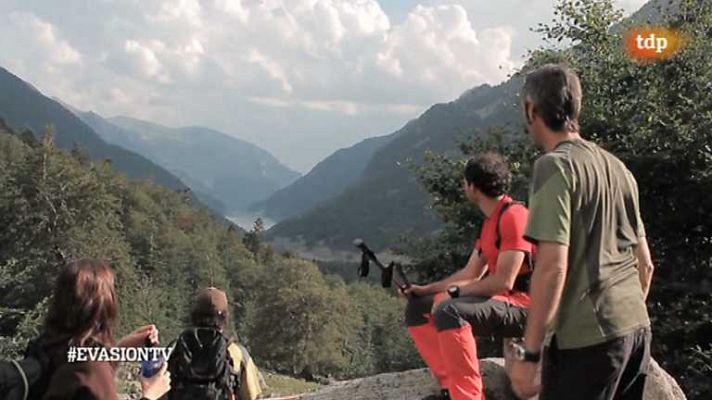 Evasión - T1 - Programa nº 11