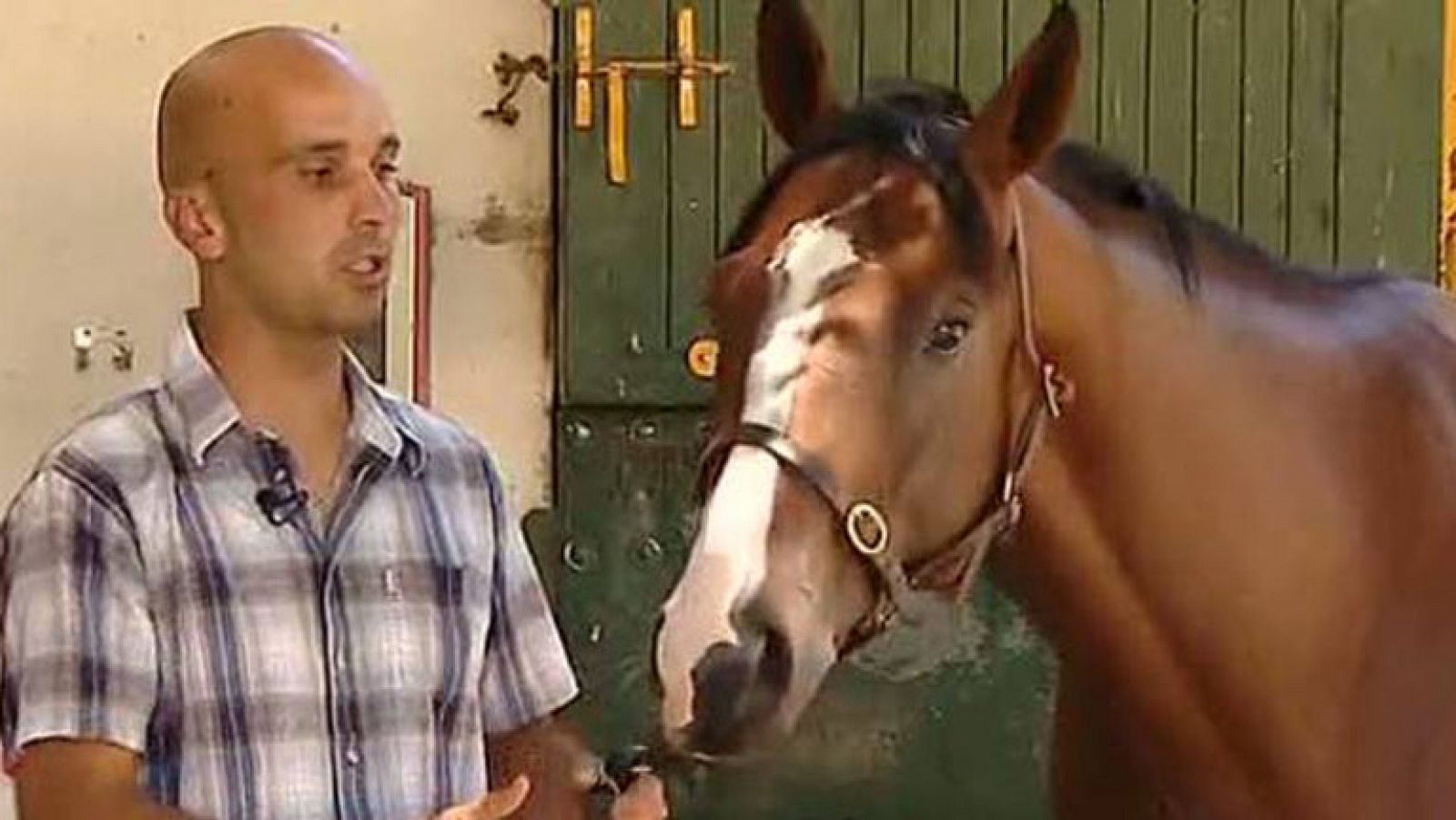 Telediario 1: Un caballo español salta la banca en Burdeos | RTVE Play